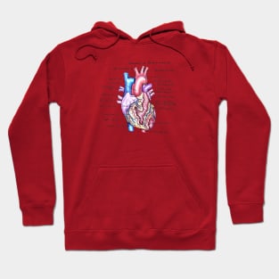 External Heart Anatomy Hoodie